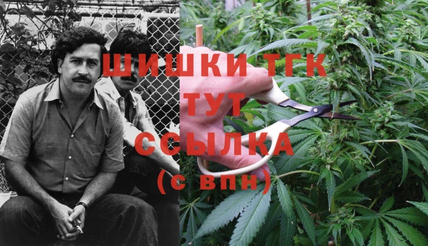 синтетический гашиш Гусь-Хрустальный