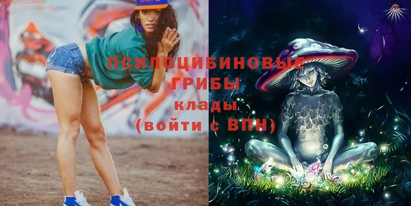 мяу мяу мука Гусиноозёрск