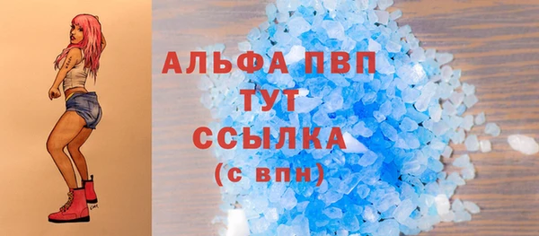 круглые Гусев