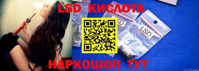 гидра Будённовск