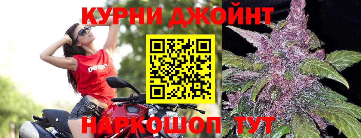 Бошки марихуана ГИДРОПОН Губкинский